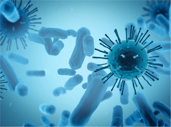Xmicrobe生物酶系列产品
