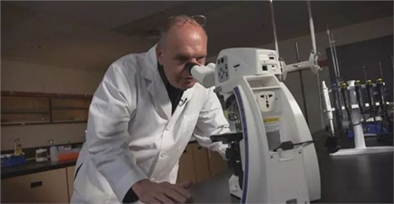 飞机客舱最脏的地方在哪里？看完触目惊心！