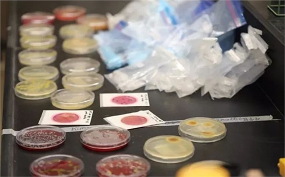 飞机客舱最脏的地方在哪里？看完触目惊心！