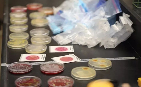 飞机客舱最脏的地方在哪里？看完触目惊心！