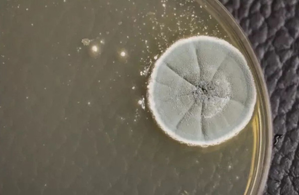 飞机客舱最脏的地方在哪里？看完触目惊心！